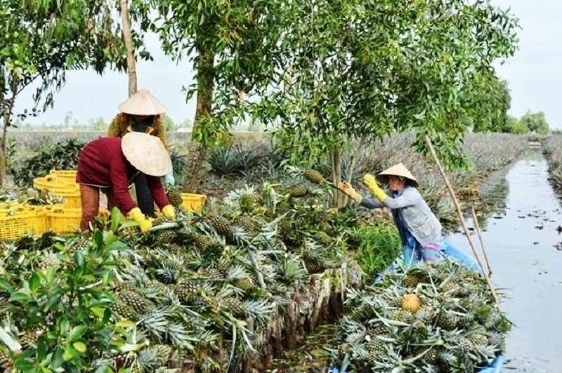 tin-lien-1638006932.jpg