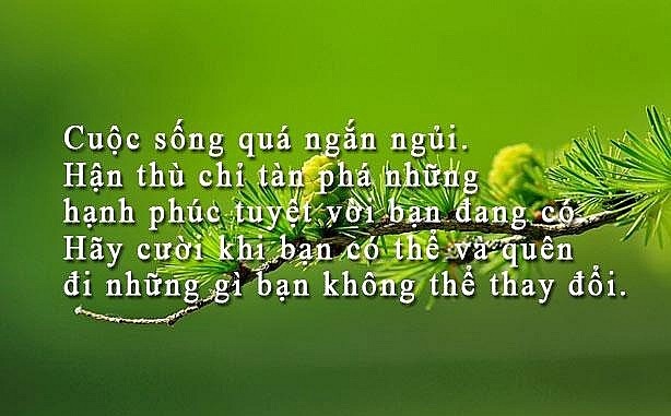 1608-nhung-cau-danh-ngon-cuoc-song-hay-p3-1642817415.jpg