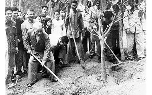 bac-ho-trong-cay-9-1643934402.jpg