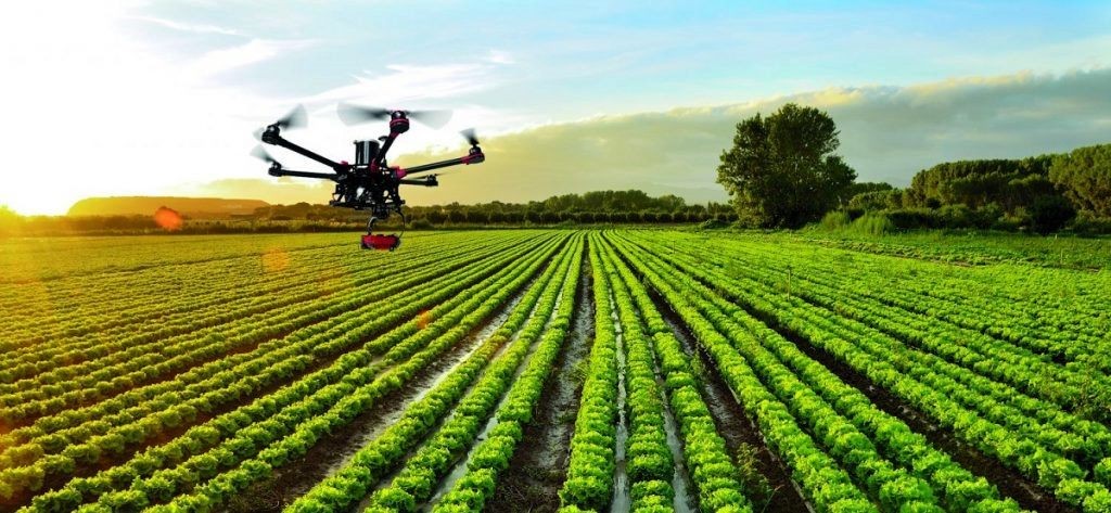 agricultura-de-precision-1024x473-1644285092.jpg