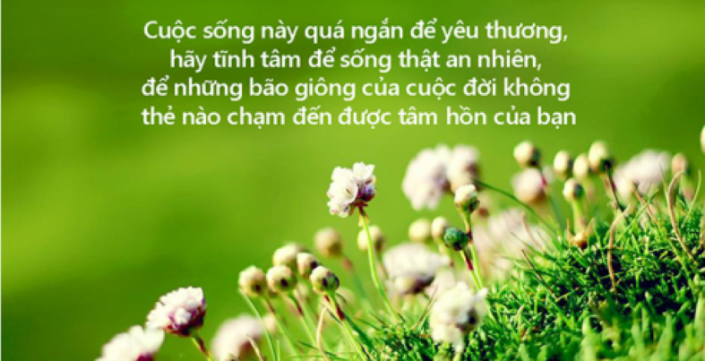 cau-noi-ve-cuoc-song-sau-sac-1644723887.png