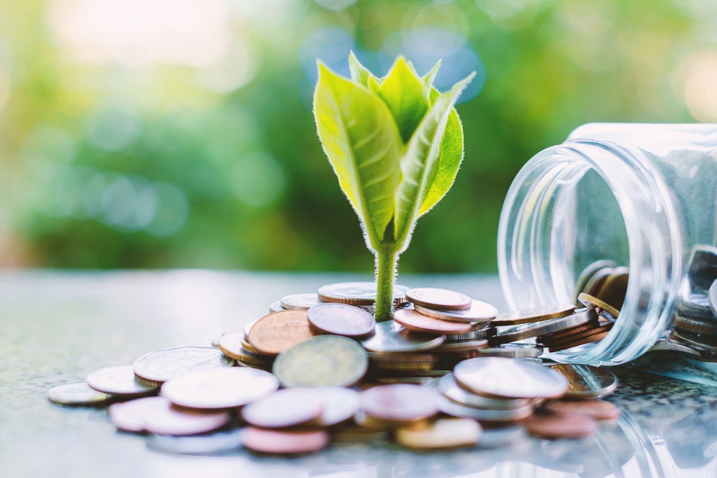 plant-growing-from-coins-outside-the-glass-jar-on-blurred-green-for-picture-id921527422-1574772684357786275383-1649898240.jpg