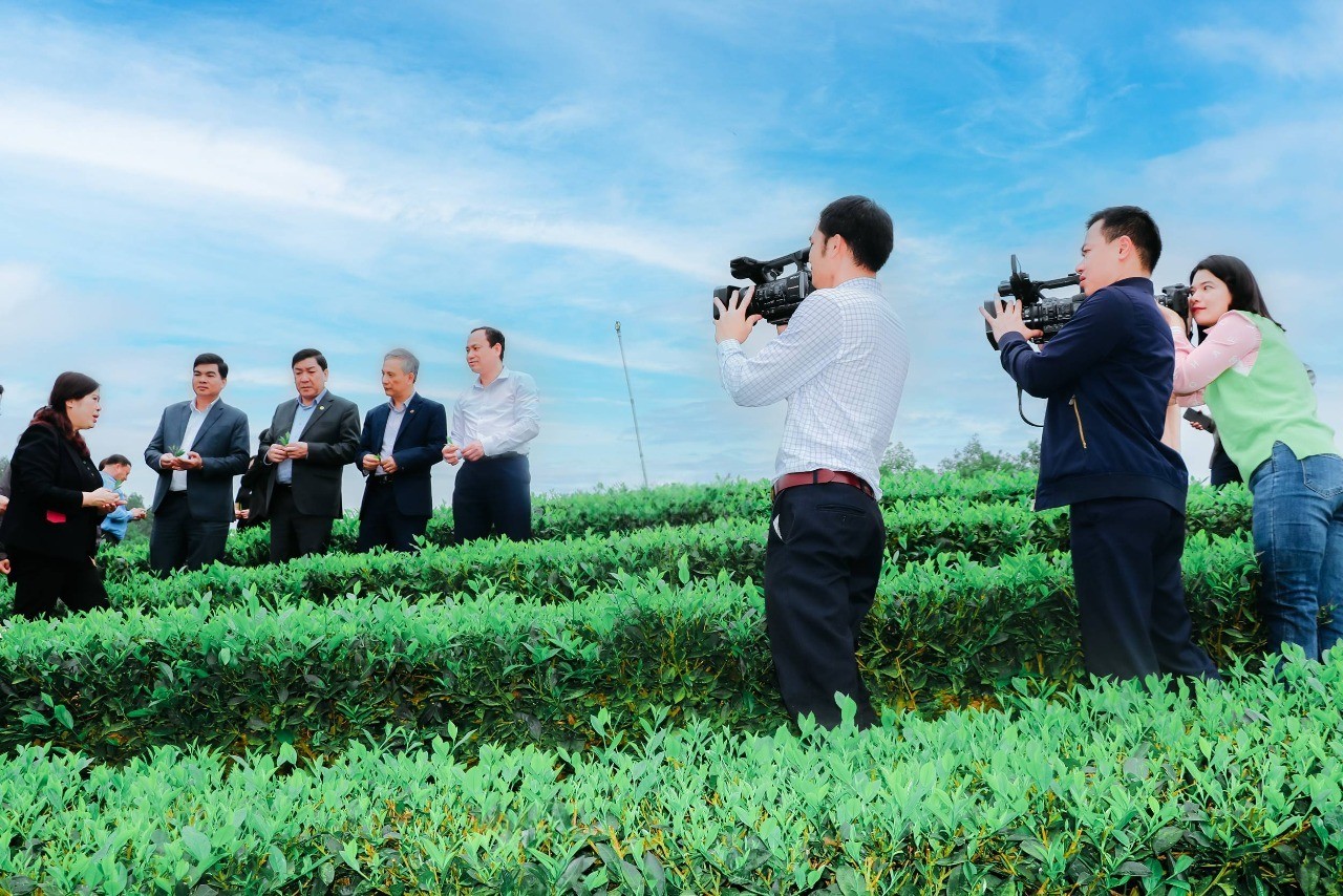 1-1750581731.jpeg