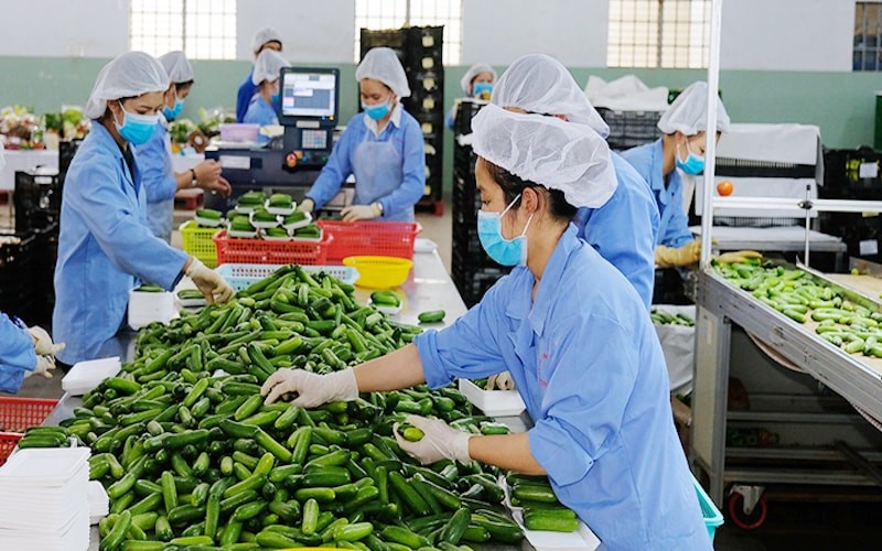 Sân Chơi Lc88.com Web Uy Tín nông sản vượt kỳ vọng: Cơ hội lớn, thách thức không nhỏ