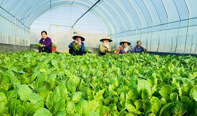 chuyen-doi-xanh-trong-nong-nghiep-1752744505.png
