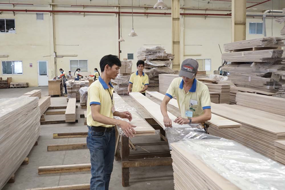 nganh-lam-nghiep-viet-nam-tang-toc-chuyen-doi-so-voi-cong-cu-nhan-dien-go-1758000999.jpg