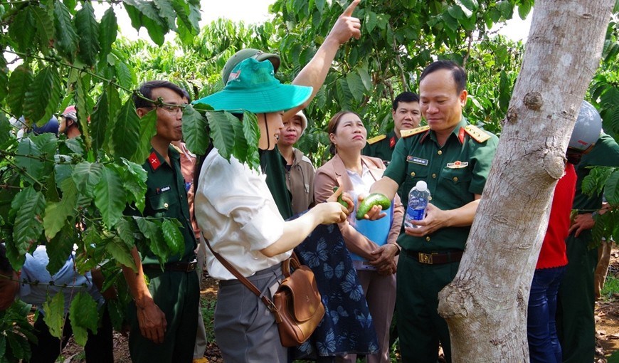 cac-hoc-vien-lop-tap-huan-tham-quan-vuon-bo-dat-hieu-qua-cao-cua-nong-truong-720-giao-khoan-cho-ho-dan-1713635728.jpg