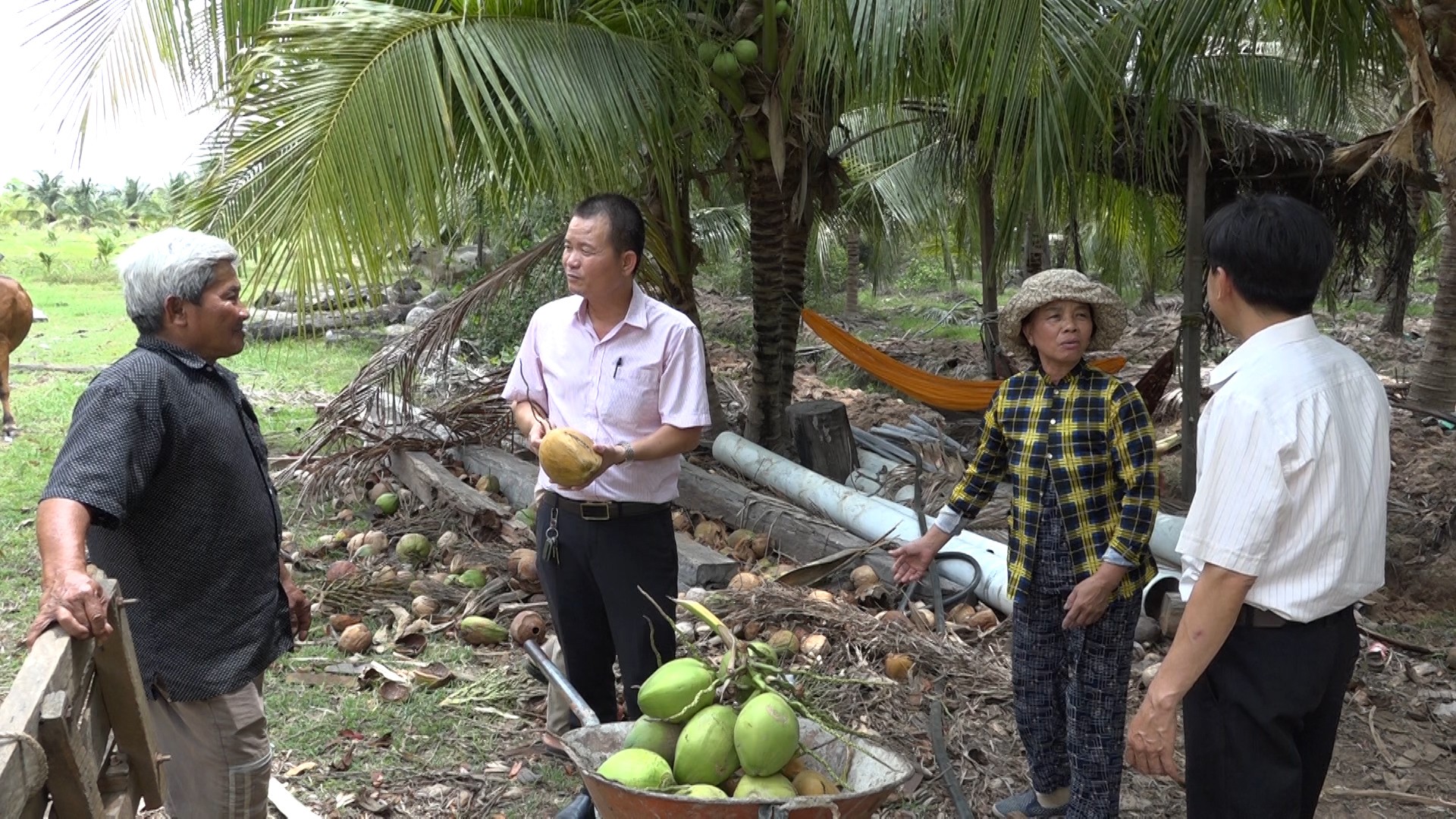 can-bo-ngan-hang-csxh-huyen-ea-sup-tham-quan-mo-hinh-trong-dua-cua-gia-dinh-ba-vo-thi-xe-em-o-xa-ia-rve-1714279304.jpg