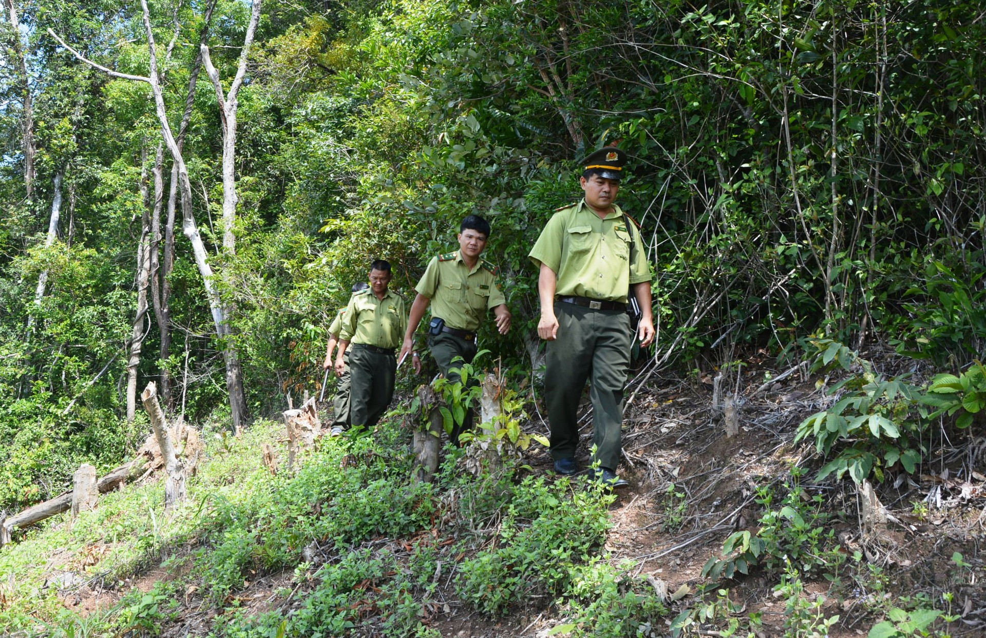 luc-luong-kiem-lam-dak-nong-tang-cuong-tuan-tra-kiem-soat-cac-diem-nong-ve-pha-rung-va-lan-chiem-dat-rung-trong-dip-nghi-le-1714272065.jpg