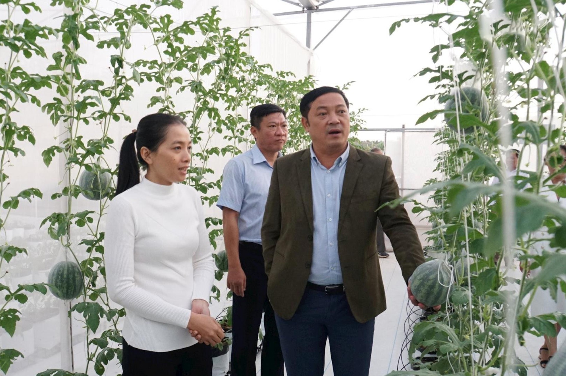 ong-le-trong-yen-pho-chu-tich-ubnd-tinh-dak-nong-di-tham-mot-mo-hinh-nong-nghiep-cong-nghe-cao-o-gia-nghia-1716787551.jpg