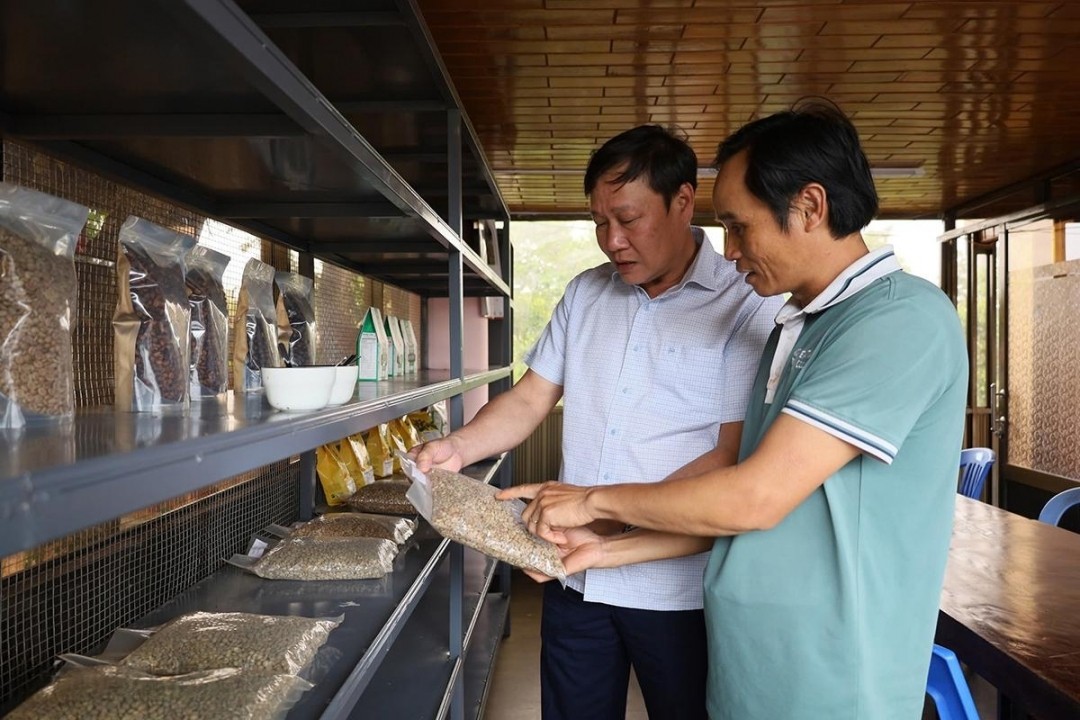 hop-tac-xa-ea-tan-xa-ea-tan-huyen-krong-nang-trung-bay-gioi-thieu-cac-mau-ca-phe-dac-san-1745544097.jpeg