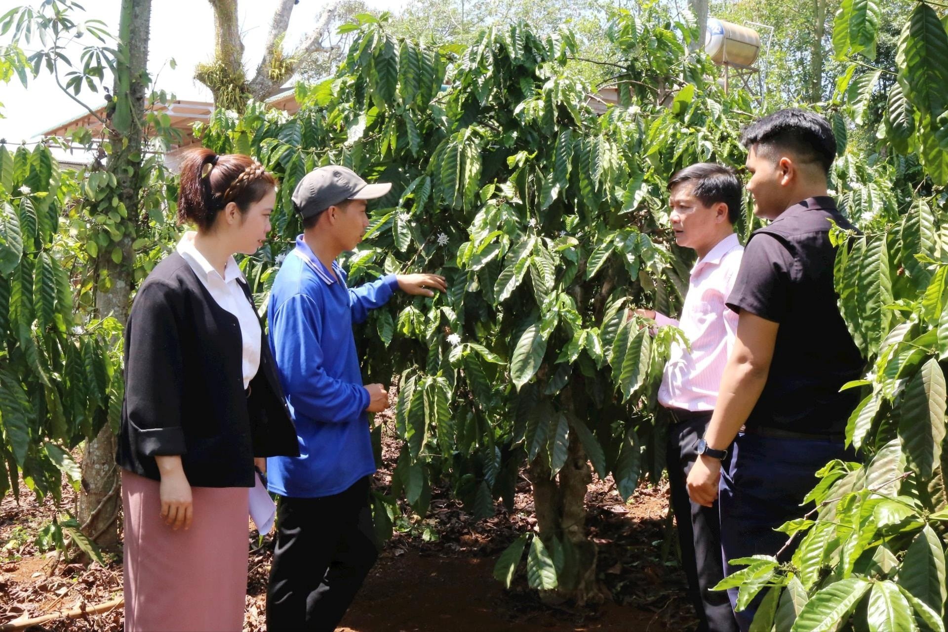 can-bo-phong-giao-dich-nhcsxh-huyen-dak-mil-dak-nong-xuong-tham-mo-hinh-su-dung-von-cua-nguoi-dan-1748470915.jpeg