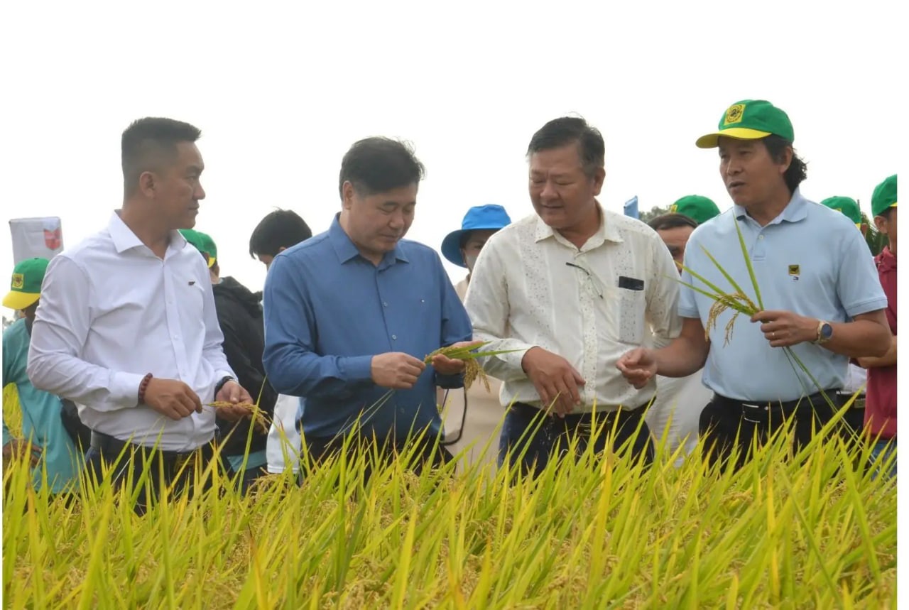 an-giang-2-2025-10-21-1761059158.jpg