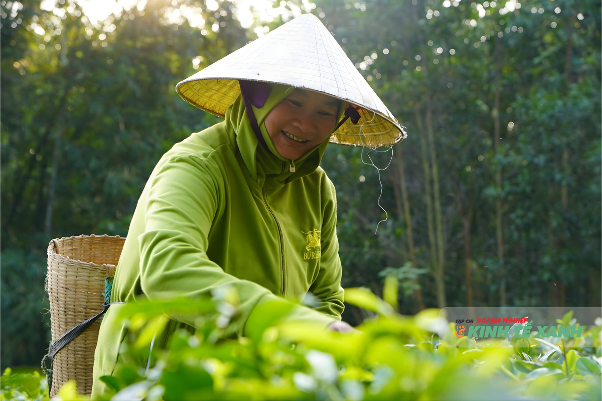 che-nhu-xuan-1-1760408286.png