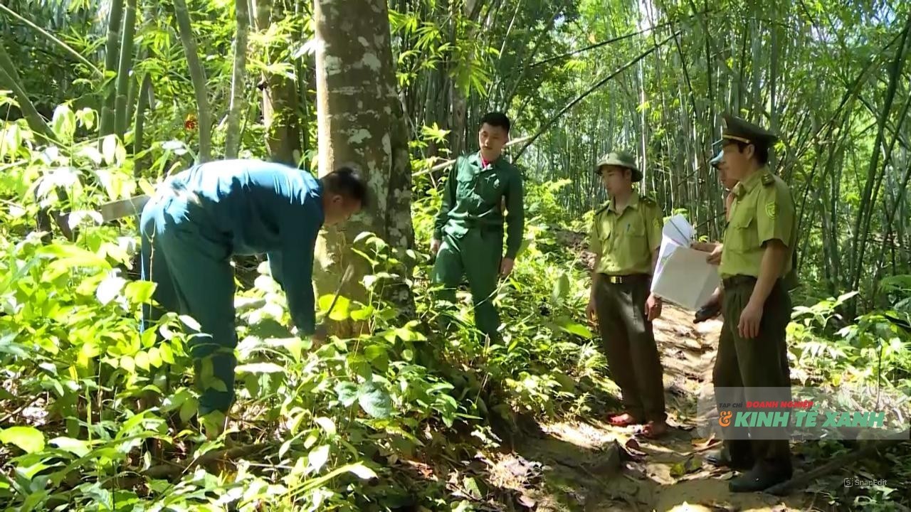 nang-nong-1745848591-1761695338.jpg