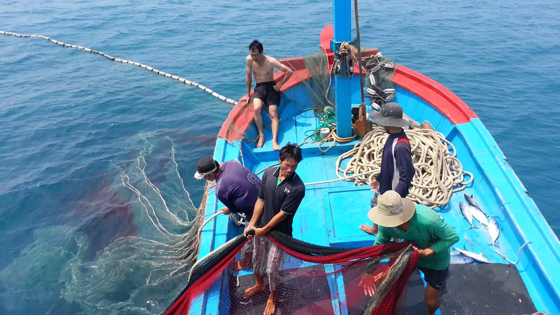 the-vang-iuu3-1754570633.jpg