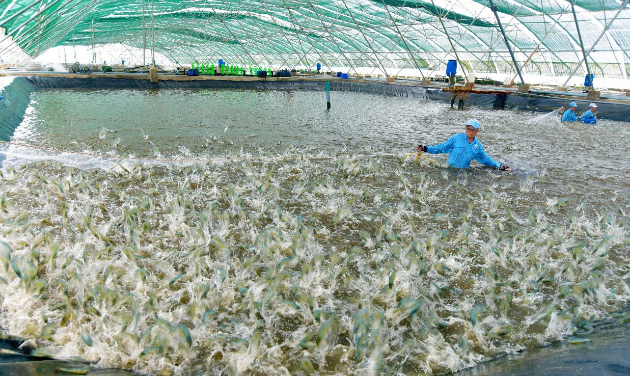 photo-3-1593162138070191815434-1635327414.jpg