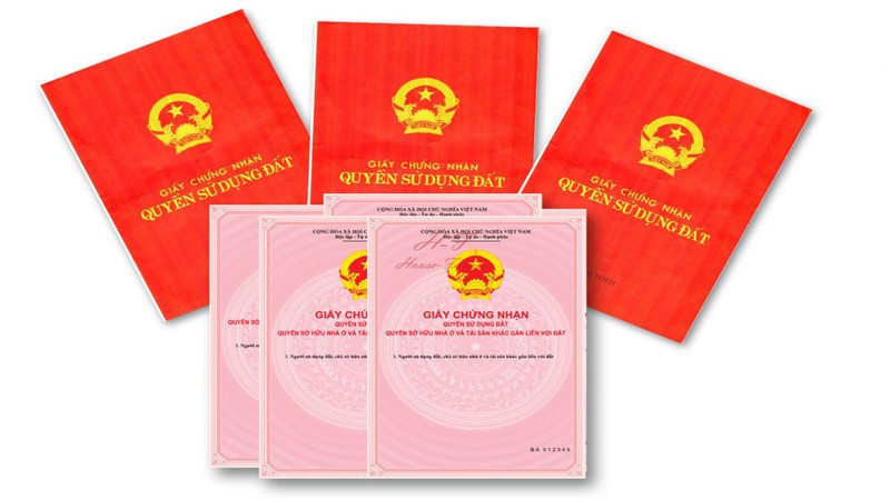 so-hong-va-so-do-so-nao-gia-tri-hon-1675784231.jpg
