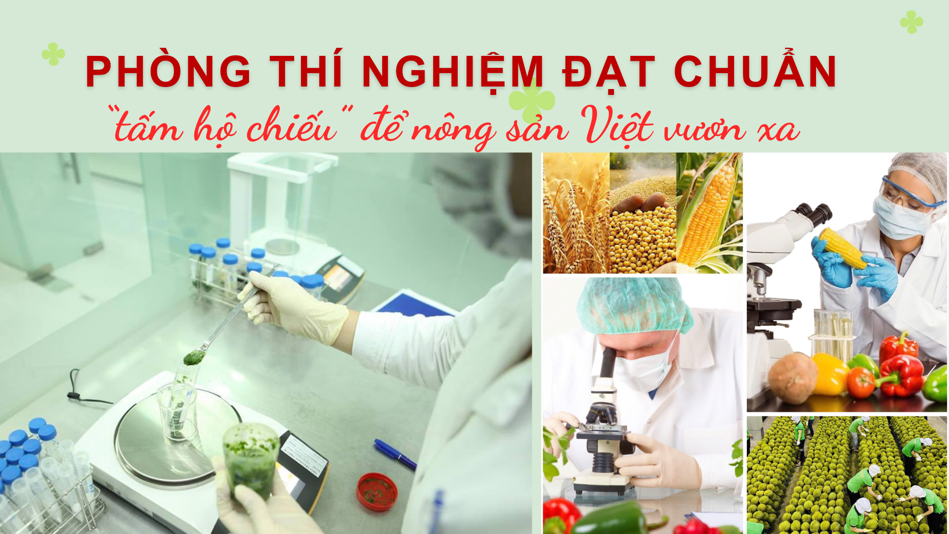 Phòng thí nghiệm đạt chuẩn – “tấm hộ chiếu” để nông sản Việt vươn xa