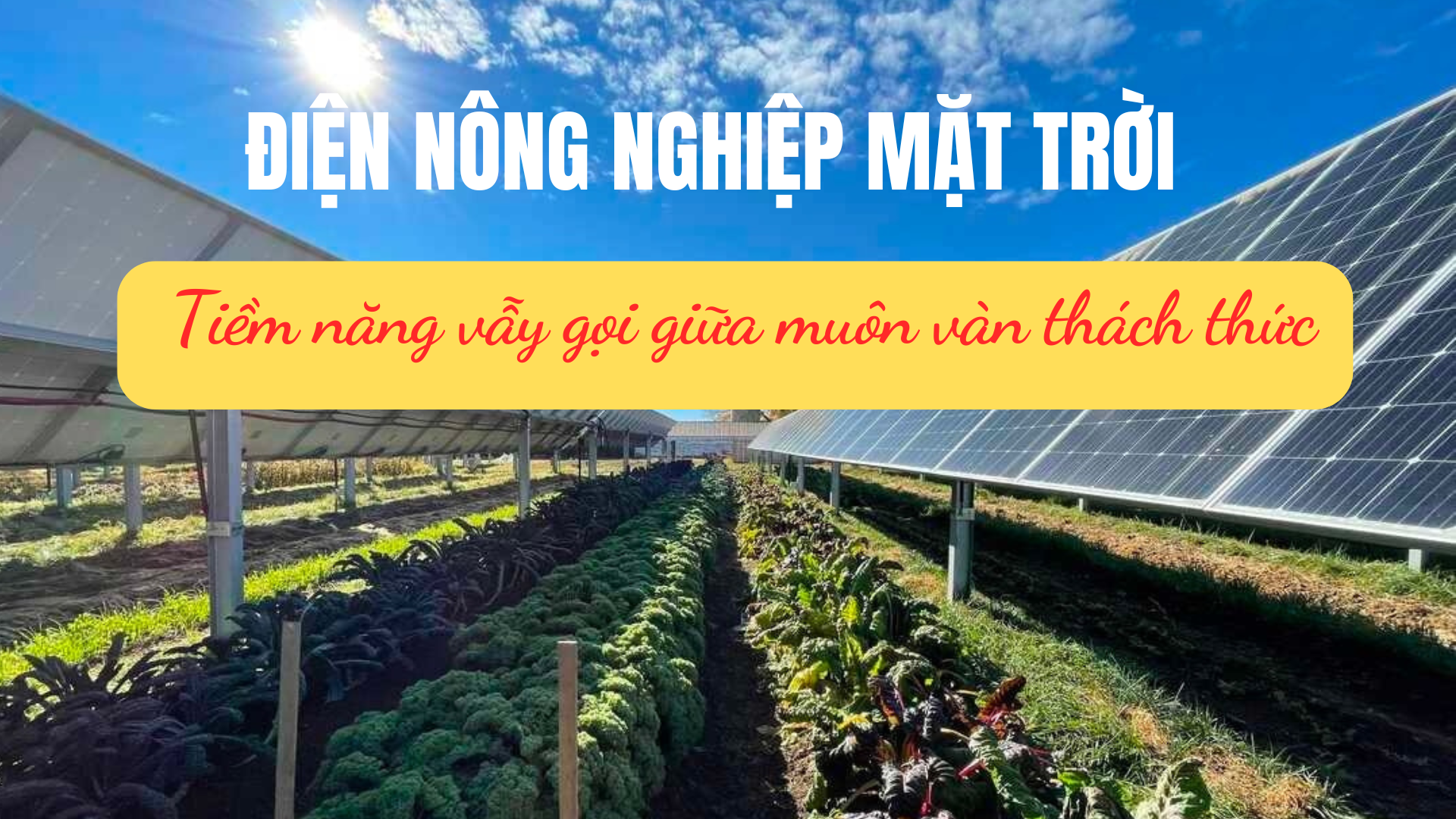 Điện LC88 là nơi thu hút hàng triệu người chơi tại Việt Nam 2026 mặt trời - Tiềm năng vẫy gọi giữa muôn vàn thách thức