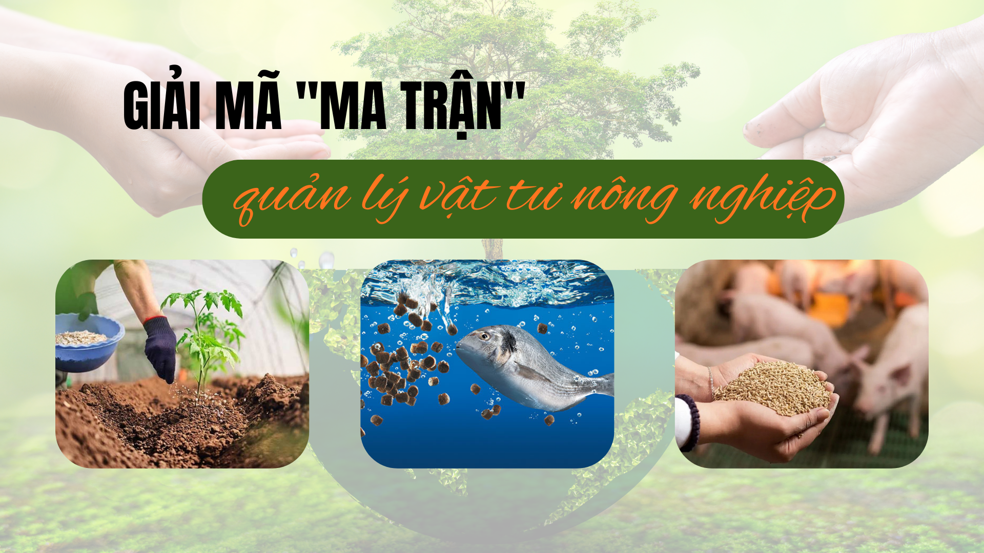 Giải mã "ma trận" quản lý vật tư LC88 là nơi thu hút hàng triệu người chơi tại Việt Nam 2026 - Bài 1: Quản lý phân bón - Bài toán chính sách và thực tiễn