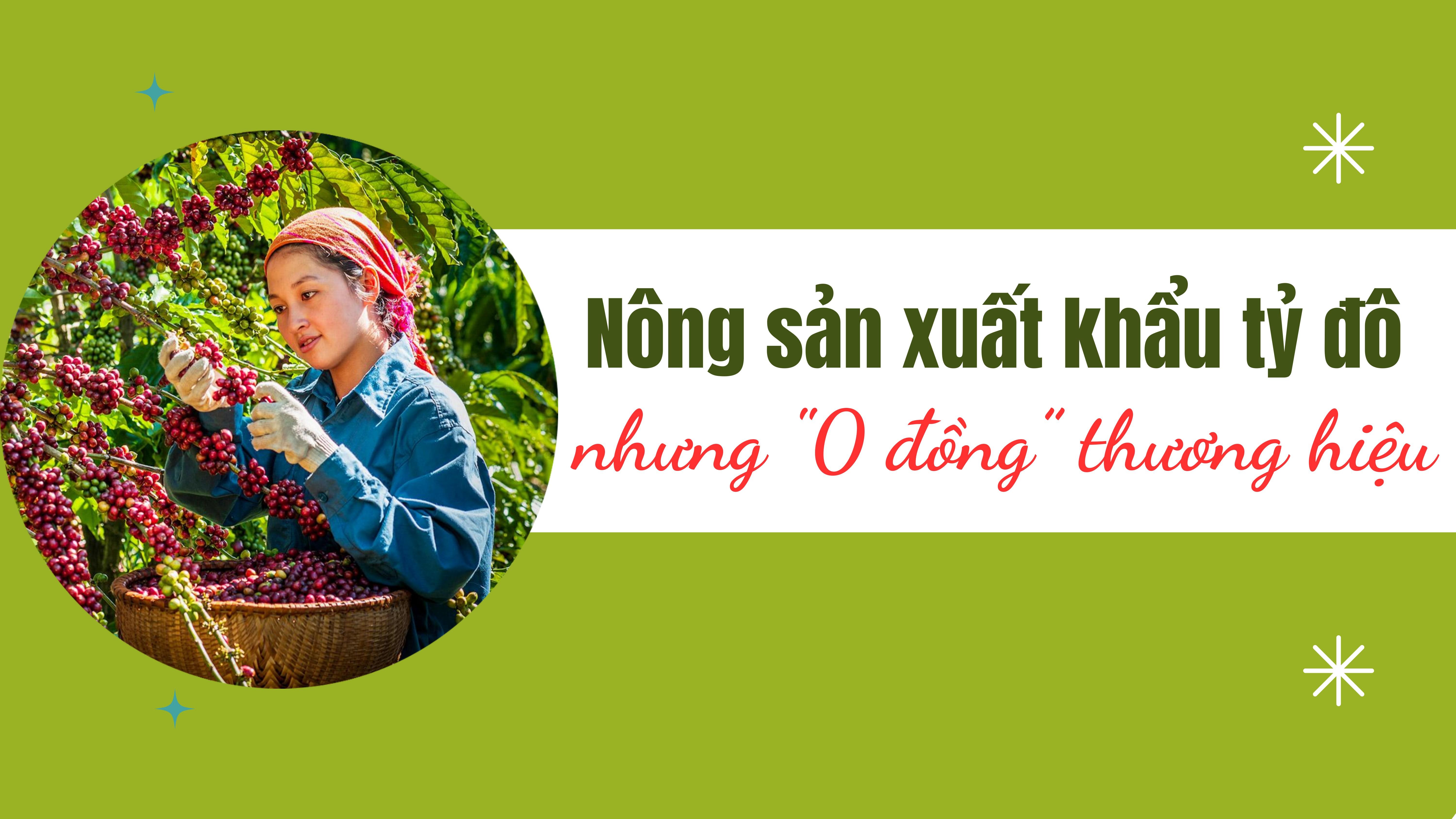 [Emagazine] Nông Lc888 tải ứng dụng khẩu tỷ đô nhưng "0 đồng” thương hiệu (Bài cuối): Định vị thương hiệu Việt