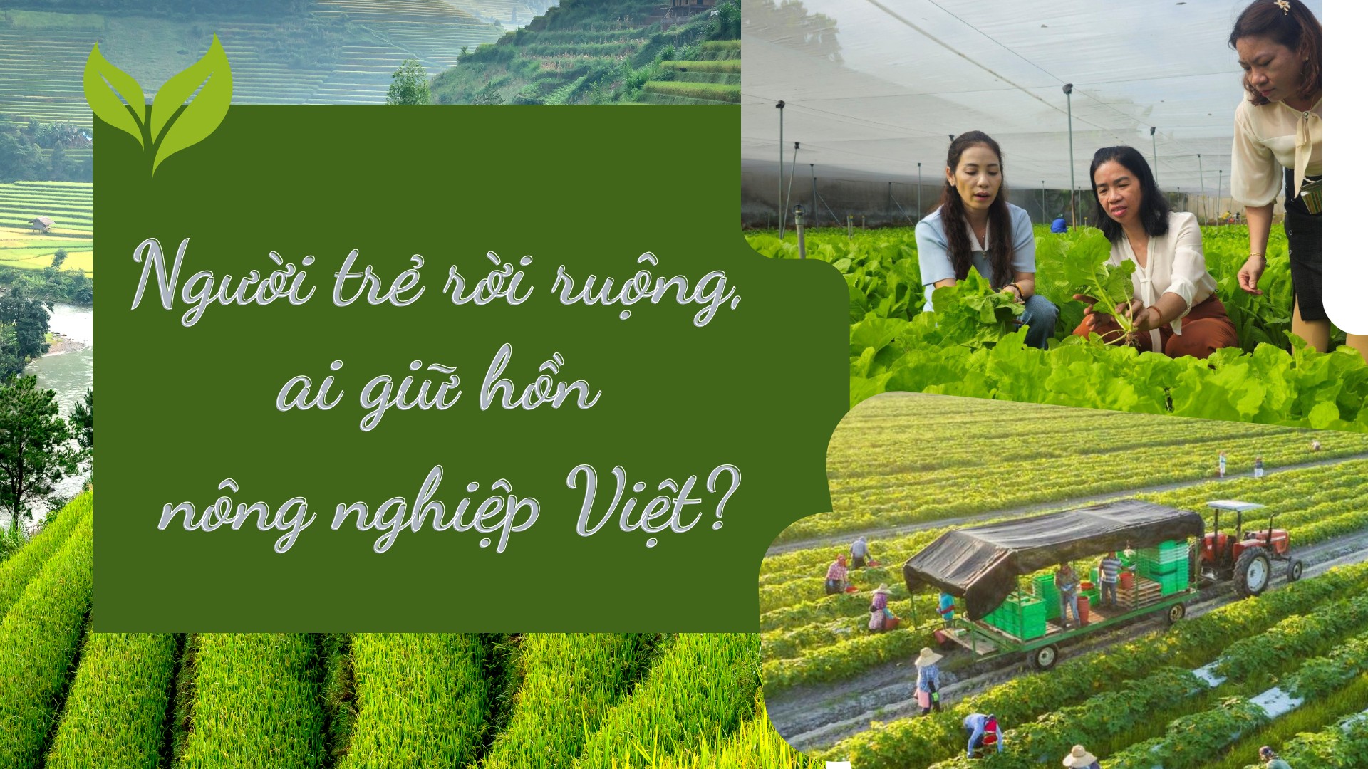 [Emagazine] Người trẻ rời ruộng, ai giữ hồn LC88 là nơi thu hút hàng triệu người chơi tại Việt Nam 2026 Việt?