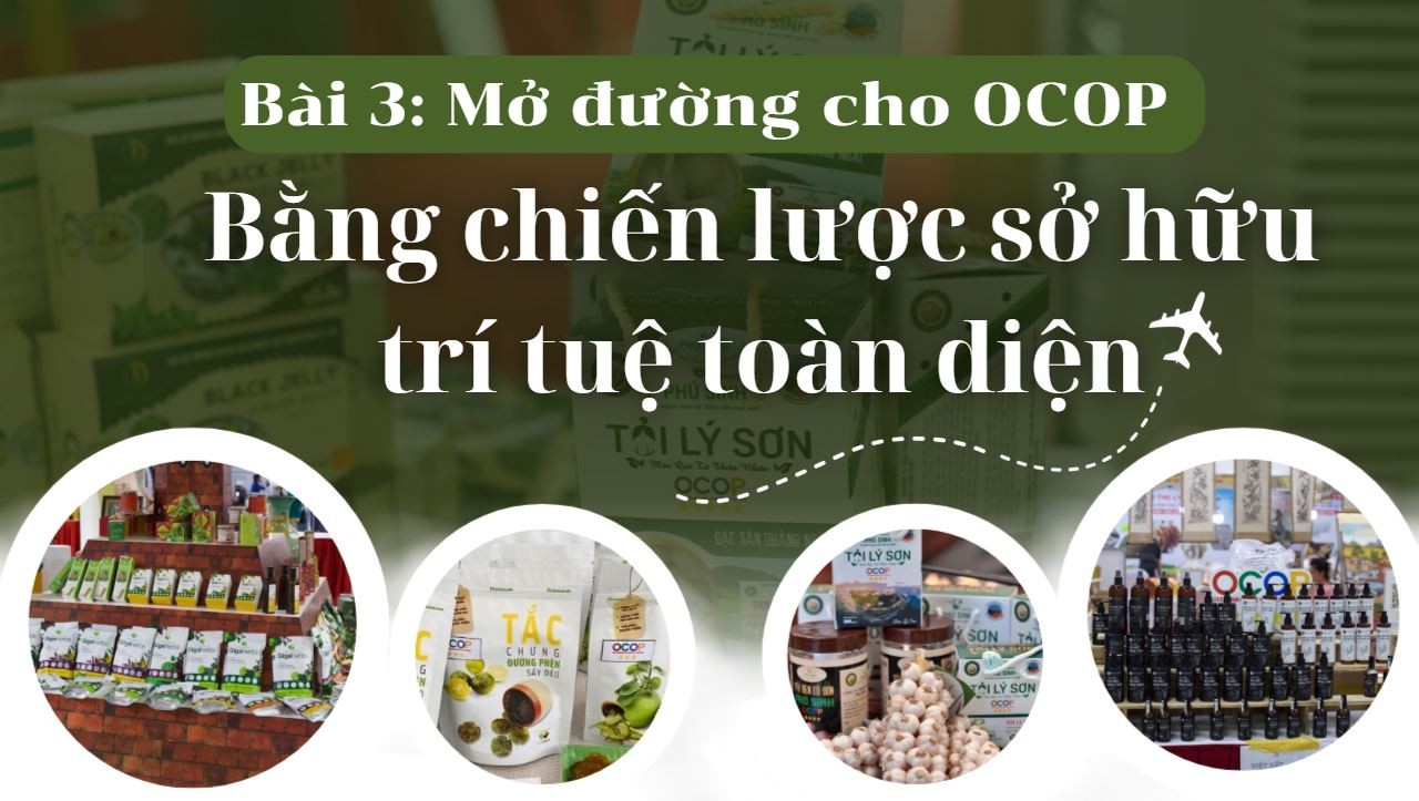 [Emagazine] Mở đường cho OCOP bằng chiến lược sở hữu trí tuệ toàn diện (Bài 3)
