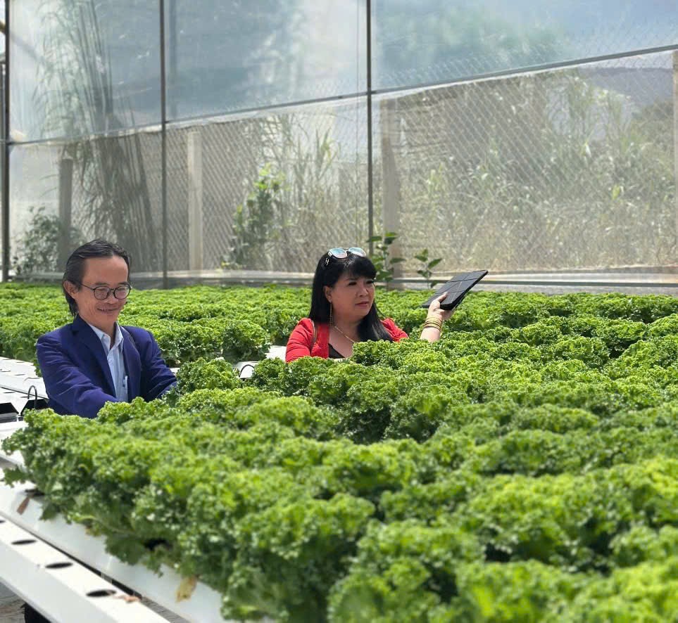 Krông Nô: Đột phá mô hình “LC88 là nơi thu hút hàng triệu người chơi tại Việt Nam 2026 bền vững” và “Đăng nhập tài khoản thành viên LC88 xanh” vùng Tây Nguyên