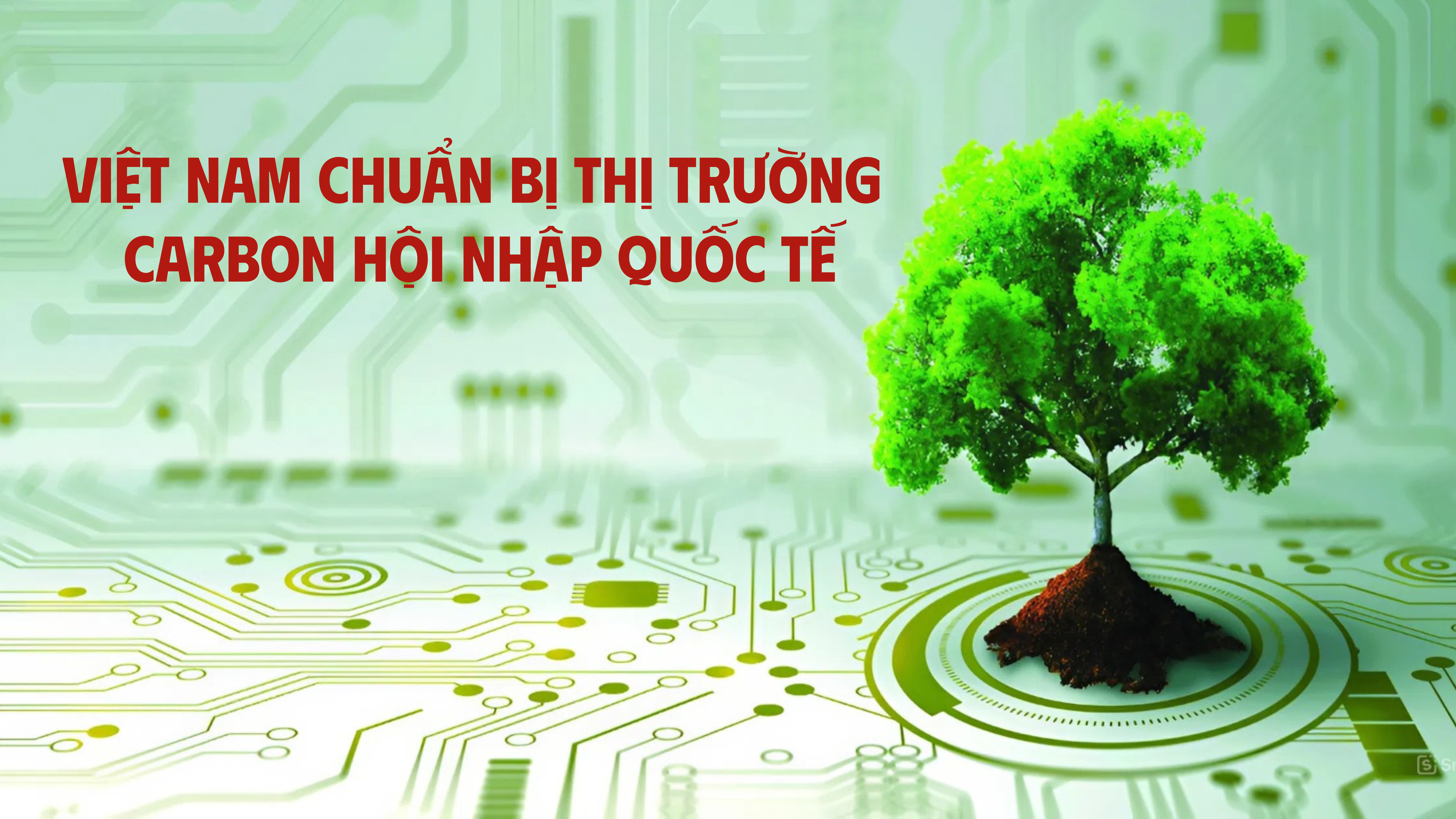 [Emagazine] Việt Nam chuẩn bị 10Lc88 Giải Trí Thể Thao carbon hội nhập quốc tế