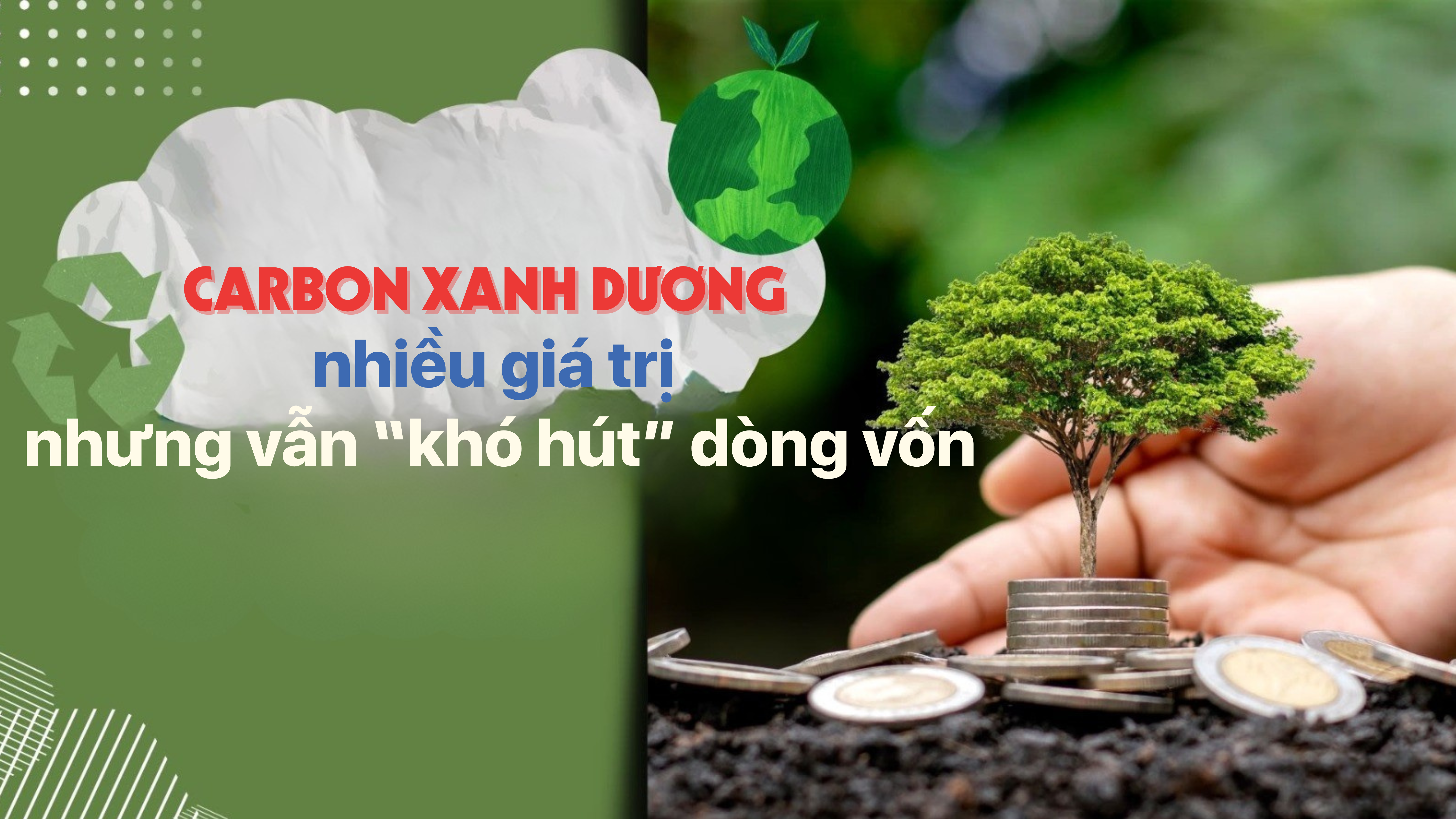 [eMagazine] Carbon xanh dương nhiều giá trị nhưng vẫn “khó hút” dòng vốn