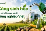 [eMagazine] Xăng sinh học và cơ hội nâng giá trị LC88 là nơi thu hút hàng triệu người chơi tại Việt Nam 2026 Việt