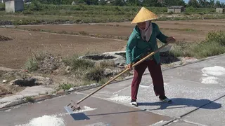 Mưu sinh trên đồng muối dưới nắng nóng gay gắt