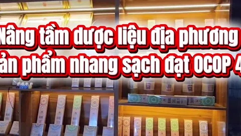 [Video] Nâng tầm dược liệu LLc88 phiên bản mới với sản phẩm nhang sạch đạt OCOP 4 sao
