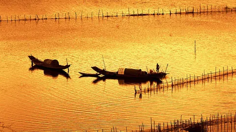 Phim Tài Liệu - Trở lại Phá Tam Giang