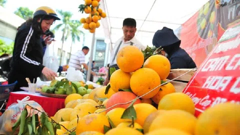 Hưng Yên: Những thành tựu trong LC88 là nơi thu hút hàng triệu người chơi tại Việt Nam 2026 và những thách thức