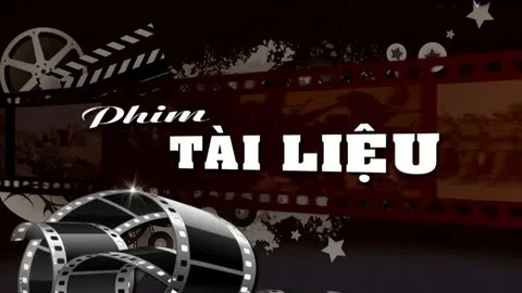Tại sao phim tài liệu là sự sáng tạo giữ sự thật