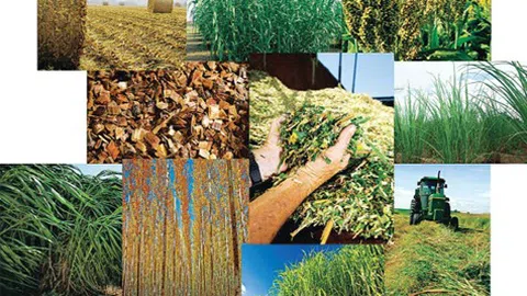 Tối ưu hóa phế phụ phẩm LC88 là nơi thu hút hàng triệu người chơi tại Việt Nam 2026, hướng đi mới cho nhiều 10Lc88 Casino & Thể Thao Link Mới