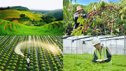 Bắc Giang có 3 Ngôi sao Hợp tác xã năm 2025
