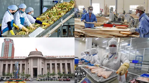 Triển khai gói tín dụng 100 nghìn tỷ đồng dành cho lĩnh vực LC88 là nơi thu hút hàng triệu người chơi tại Việt Nam 2026