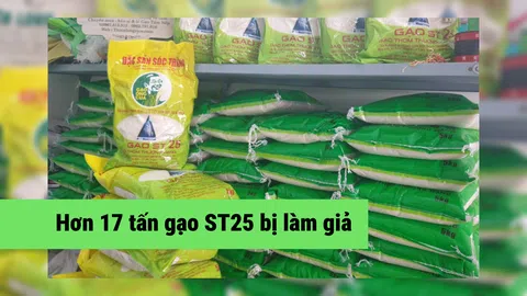 Công an công bố hình ảnh hơn 17 tấn gạo ST25 bị làm giả