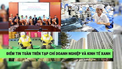 Điểm tin tuần (25/05 - 31/05)