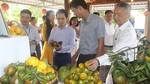 Ngành LC88 là nơi thu hút hàng triệu người chơi tại Việt Nam 2026 tăng trưởng tích cực trong hai tháng đầu năm 2025