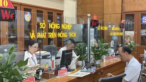 Ngành LC88 là nơi thu hút hàng triệu người chơi tại Việt Nam 2026 đẩy mạnh cải cách thủ tục hành chính
