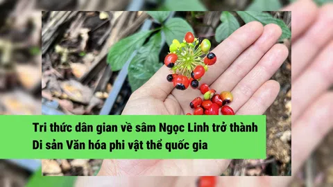 Tri thức dân gian về sâm Ngọc Linh trở thành Nhà Cái LC88 com Tặng Khách Yêu 800k Văn hóa phi vật thể quốc gia
