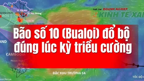 [Video] Bão số 10 (Bualoi) đổ bộ đúng lúc kỳ triều cường