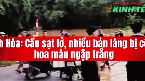 [Video] Thanh Hóa: Cầu sạt lở, nhiều bản làng bị cô lập, hoa màu ngập trắng
