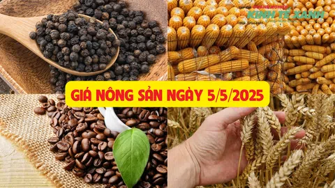 Bản tin nông sản ngày 5/5