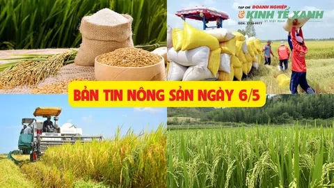Bản tin nông sản ngày 6/5
