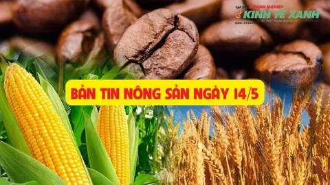 Bản tin nông sản ngày 14/5